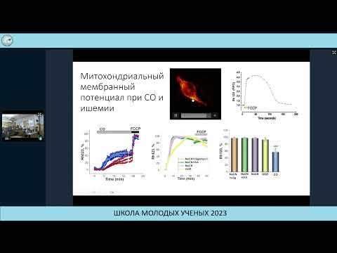 Видео: Механизм нейротоксичности при отравлении угарным газом - Абрамов Андрей Юрьевич
