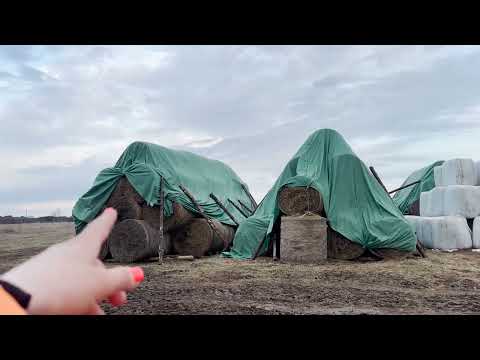 Видео: Молодая ферма, Дарья. О хранении сена и как применяется в её КФХ флис для сена и соломы от Лелаф