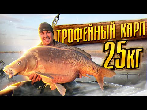 Видео: ВОТ ЭТО УДАЧА!  ПОЧТИ ЧАС БОРЬБЫ С ОГРОМНЫМ КАРПОМ. Новый личный рекорд. Часть 2