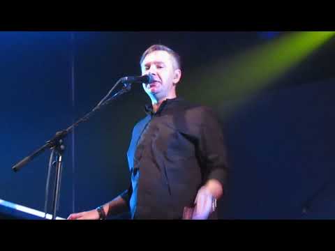 Видео: Ундервуд - Собаки на заднем дворе