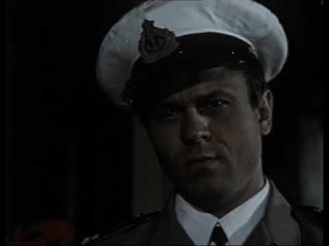 Видео: Советский фильм "Солёный пёс" 1973