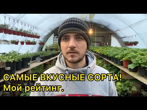 Видео: Эти сорта томатов обязательно посажу для себя в 2023 году!