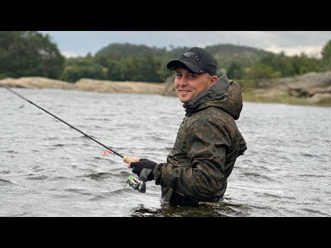 Видео: Морская рыбалка в Мурманске, Ура-губа. Август 2022