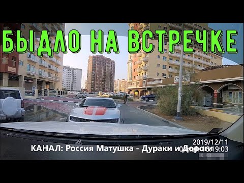 Видео: Быдло на встречке #109! Road Rage Compilation on Dashcam!