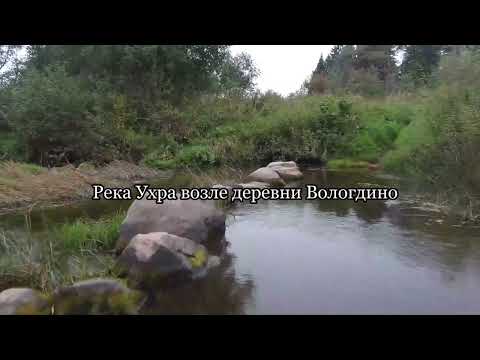 Видео: Река Ухра возле деревни Вологдино журчание воды 2 часа