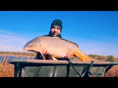 Видео: Турнир на Крутой Балке.VIP PIRANHAS BAITS.ЛОВЛЯ КАРПА ОСЕНЬЮ.