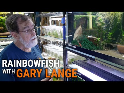 Видео: Экскурсия по Fish Room с великим Гэри Лэнгом