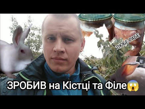 Видео: ШОК😱 ДЗВОНЯТЬ КЛІЄНТИ ВИМАГАЮТЬ ТУШОНКУ З КРОЛИКА | СЕКРЕТНИЙ РЕЦЕПТ. ЯК ОБРІЗАТИ ТУШКУ КОРОЛЯ?