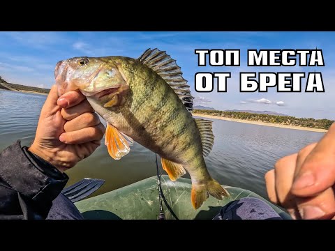 Видео: TOP ПЕРСПЕКТИВНИ МЕСТА на ХИЩНИЦИ от БРЕГА. ЯЗОВИР КОПРИНКА