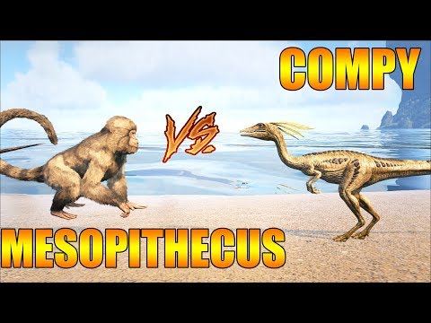 Видео: Компи против Мезопитека ♦ Compy vs Mesopithecus