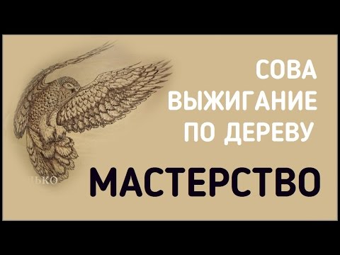 Видео: МАСТЕРСТВО / ВЫЖИГАНИЕ СОВЫ