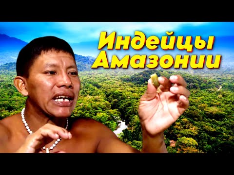 Видео: Что едят в индейском племени туюка и реакция индейцев на квашеную капусту с солеными огурцами