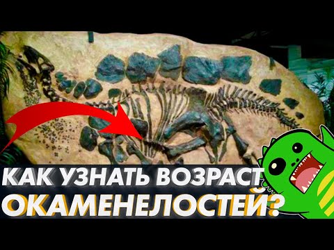Видео: ВОЗРАСТ ОКАМЕНЕЛОСТЕЙ: что скрывают ученые? | Геохронология | Радиоизотопное датирование