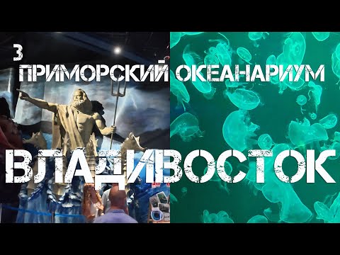 Видео: Владивосток остров Русский,Приморский океанариум (третий фрагмент,12 августа 2025).