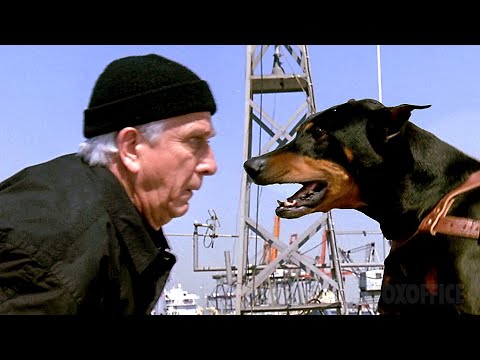 Видео: Все лучшие приколы из «Голого пистолета» ⚡ 4K