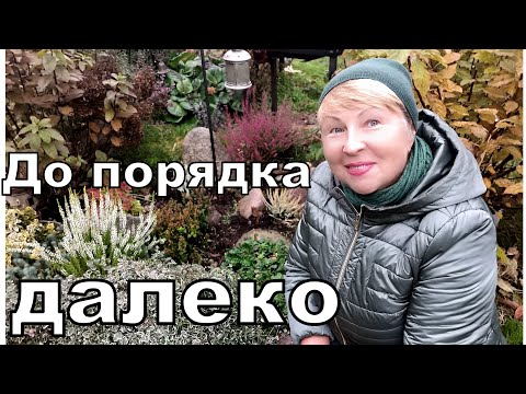 Видео: Когда закончится этот БАРДАК? Завидую вам. А мне еще бы пару недель