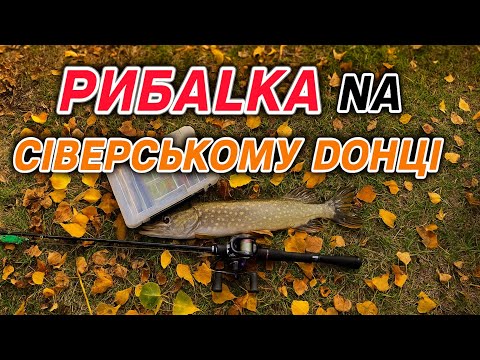 Видео: ЩУКА / ОСІНЬ / ТВІЧІНГ / Сіверський дінець , рибалка на щуку осінню з воблерами 