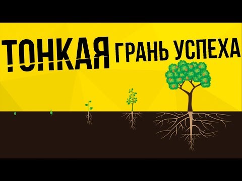 Видео: ПРОСТОТА УСПЕХА. Эффект накопления