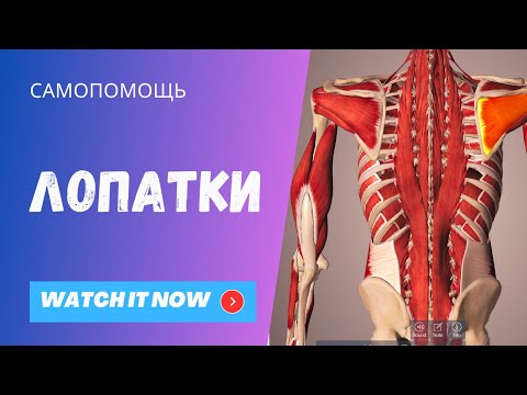 Видео: Урок на ощущение и стабилизацию лопаток. Снятие напряжений.