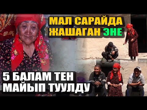 Видео: Сүйүп турмушка чыккам | Мал сарайда МАЙЫП балдары менен жашаган АПА | Актриса  болгум келчү дейт