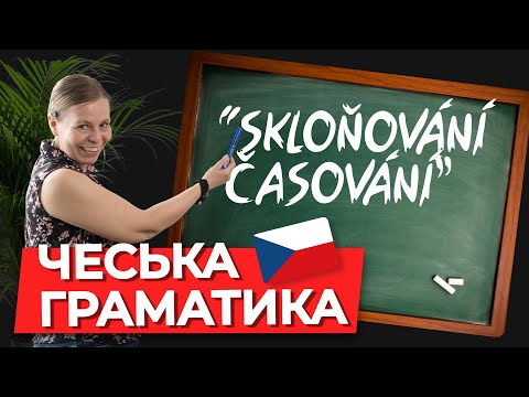 Видео: Склонение в чешском языке. Чешская грамматика.