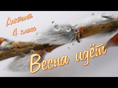 Видео: Диктант по русскому языку с проверкой! 4 класс. Весна идёт #диктант4класс  #диктант