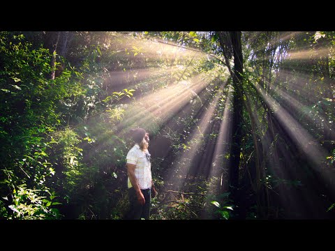 Видео: Нас лишают простой жизни?