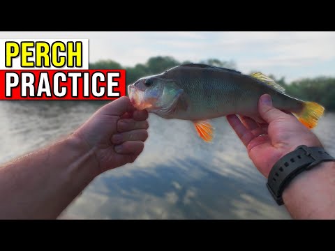 Видео: Ловля окуня на приманку на реке Северн