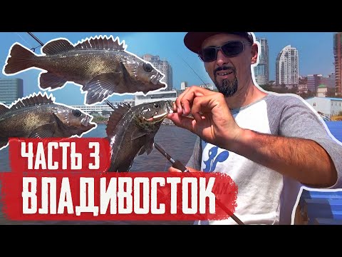 Видео: МЕБАРУ, желтый ОКУНЬ, трехполосая МАРУЛЬКА... СТАРБЛОГ