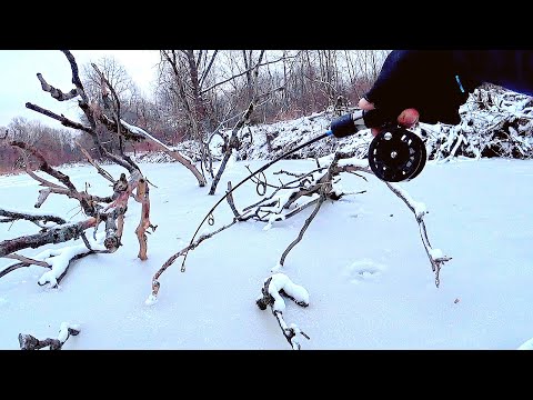 Видео: Опустил БАЛАНСИР в КОРЯГИ и ОНА ПОТЯНУЛА ВНИЗ!!! Зимняя рыбалка на щуку 2021! Жерлицы жгут!