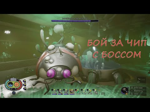Видео: Божья коровка мутант - Grounded (часть 12)