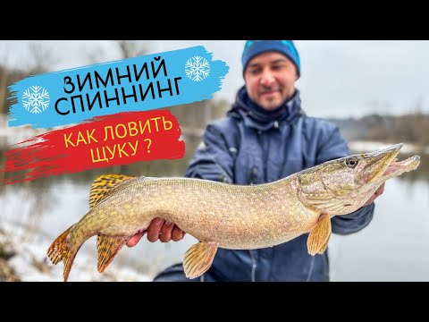 Видео: 🔥ДИКАЯ ЩУКА НА РЕКЕ❗️КАК ЛОВИТЬ ЩУКУ ЗИМОЙ? ЩУКА НА СПИННИНГ