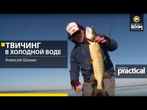 Видео: Твичинг в холодной воде. Алексей Шанин. Anglers Practical