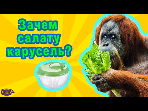 Видео: Разберёмся, чем полезна сушилка для салата и зелени