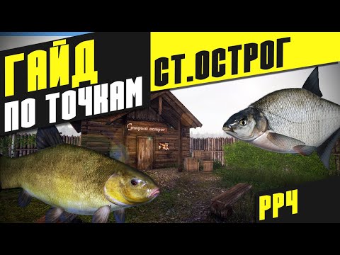 Видео: Гайд по точкам Старый Острог