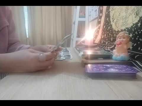 Видео: Свежие сплетни о вас 🗣️🤪🙀