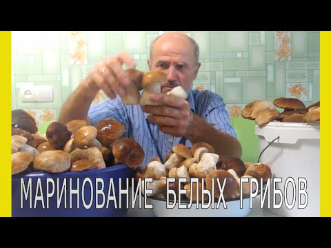 Видео: Грибы.Как мариновать белые грибы.Маринование грибов. Простой рецепт маринования грибов