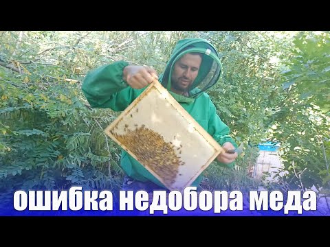 Видео: Недобор меда и роение пчел как решить эту проблему начинающему пчеловоду