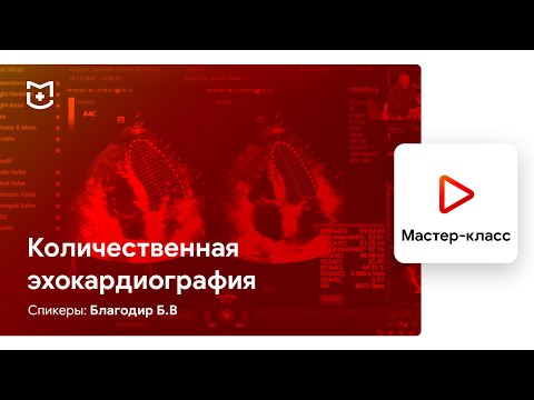 Видео: Мастер-класс по количественной эхокардиографии. Лектор - Благодир Б.В.