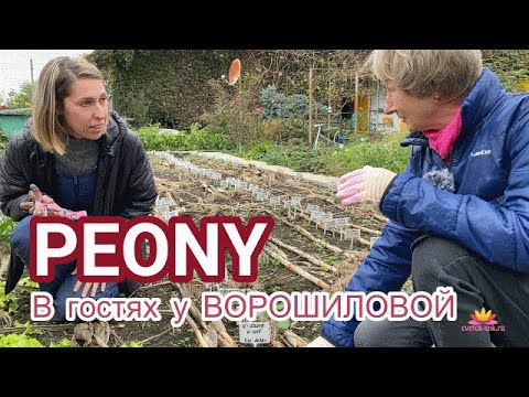 Видео: В гостях у Ворошиловой / Сад Ворошиловой