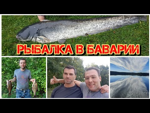 Видео: РЫБАЛКА В БАВАРИИ🇩🇪ОЗЕРО БРОМБАХ