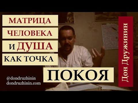 Видео: Матрица Человека и Душа, как Точка Покоя. Дон Дружинин. Лекция по Шримад-Бхагаватам 3.30.1