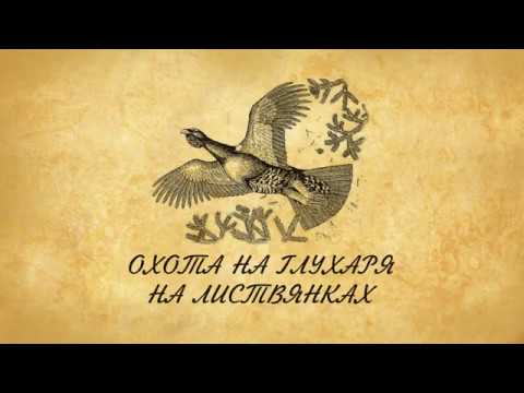 Видео: охота на глухаря на листвянках