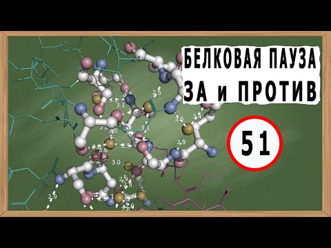 Видео: Белковая пауза. За и Против