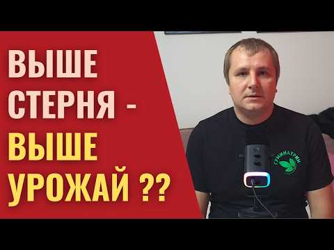 Видео: Как высота среза растений в уборку помогает сохранить и накопить влагу в почве