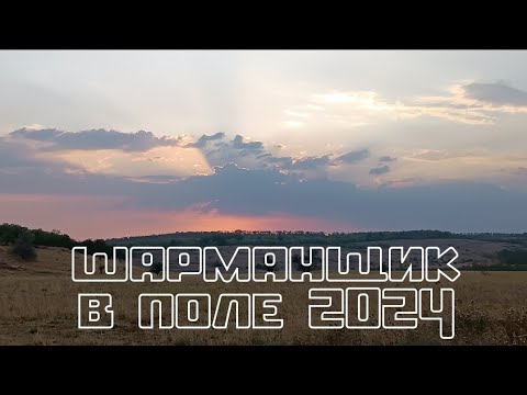Видео: полевой день шарманщика 2024