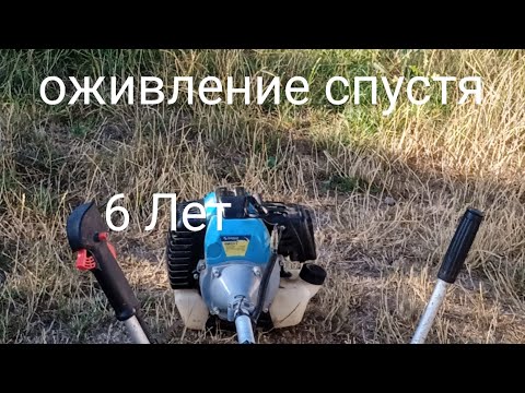 Видео: оживление мотокосы Садко GTR 22 спустя 6 лет