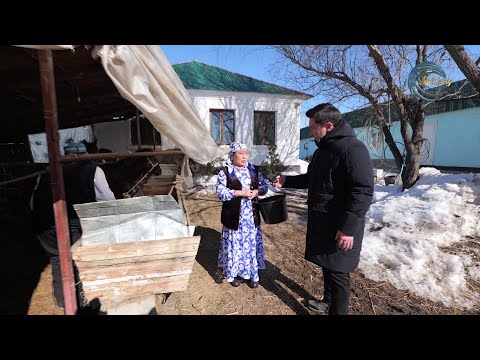 Видео: "ЖЕТІСУ ТҰРҒЫНДАРЫ ТЫНЫМСЫЗ ТІРЛІКТЕ" / БІЗДІҢ ӨҢІР - БІЗДІҢ ӨМІР / 18.02.25