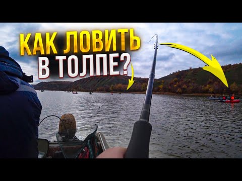 Видео: РЫБАЛКА В ТОЛПЕ! Рыбалка на Дону! Рыбалка на судака! ДЖИГ С ЛОДКИ!
