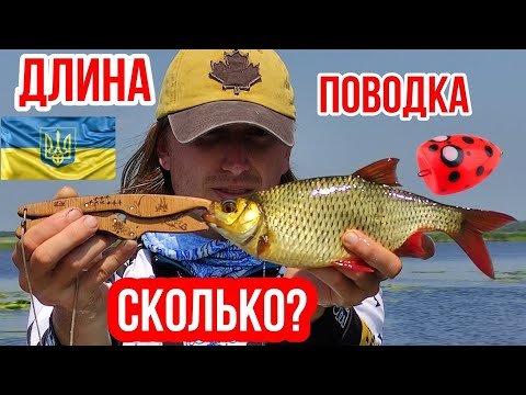 Видео: Красноперка на попла-поппер. Как подобрать длину поводка. Оснастка попла-поппера.
